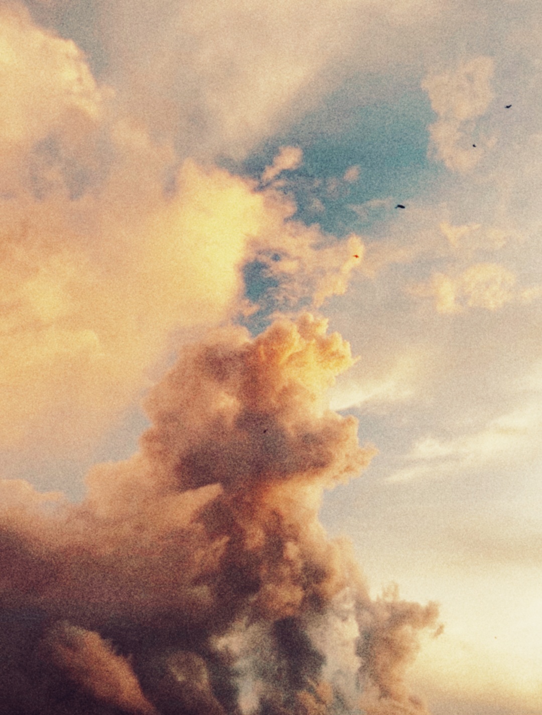 Cumulus